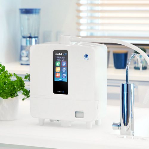 Ways To Buy Alkaline Water Machine Online In Singapore?